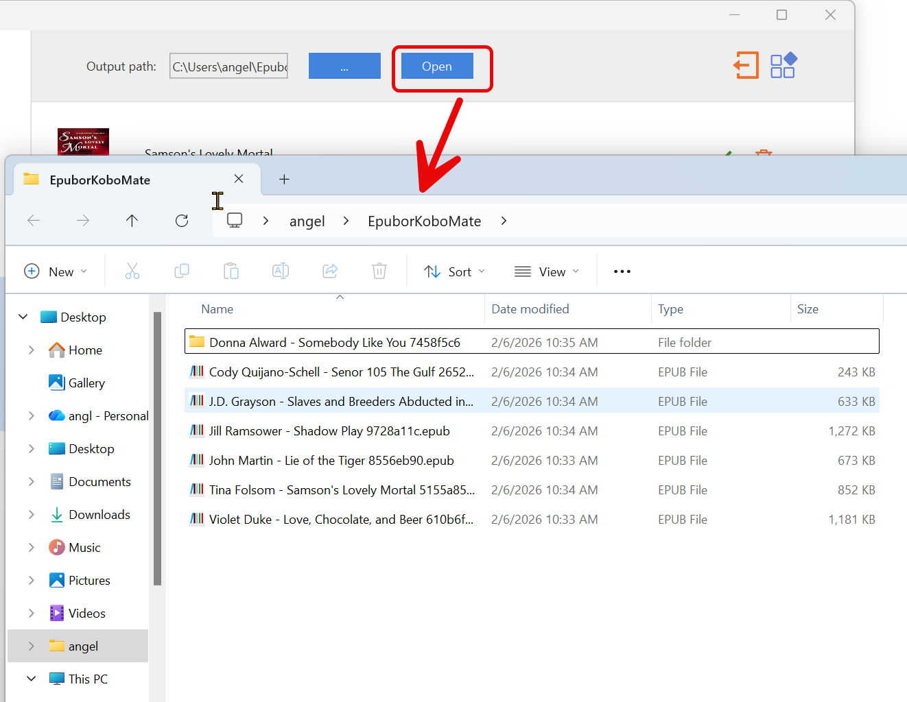 epubor Kobo Downloader-Ausgabe