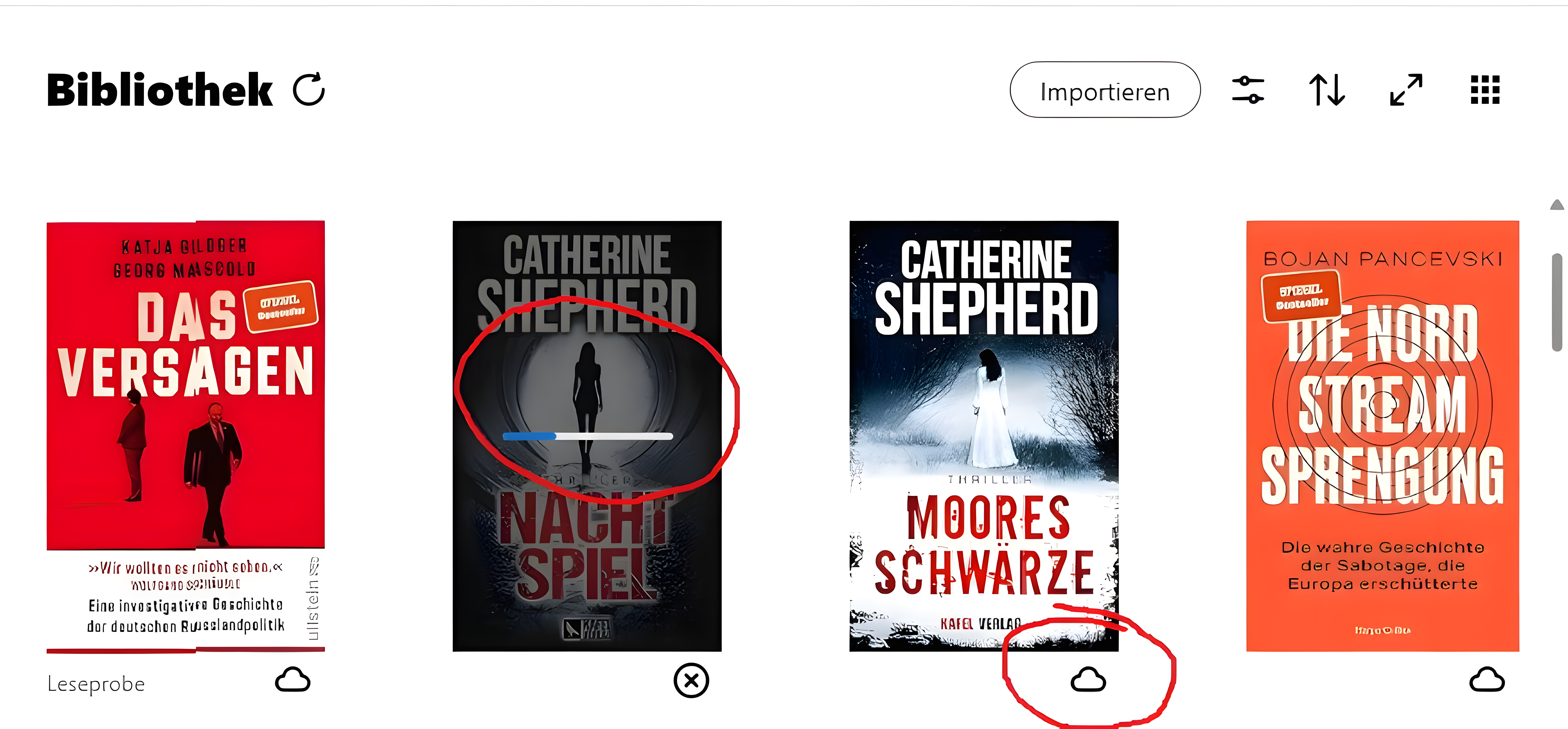 Kindle-Bücher herunterladen (Windows 11)