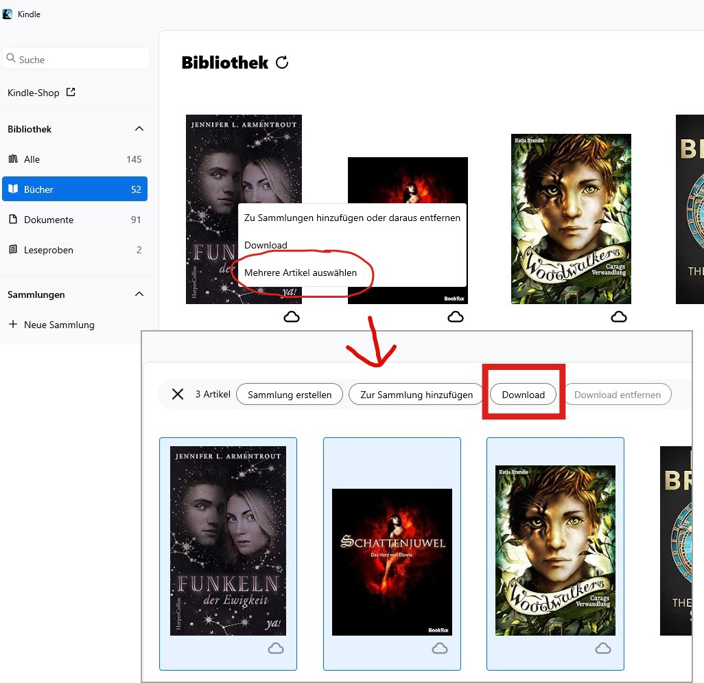 Kindle-Bücher gesammelt herunterladen